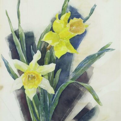 Daffodils painted by Charles Demuth.